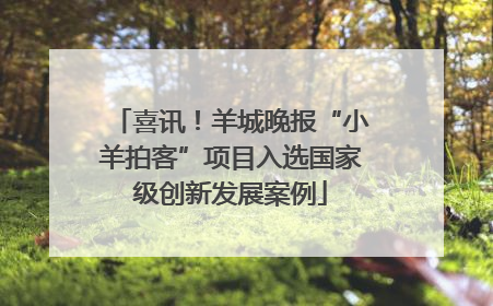 喜讯！羊城晚报“小羊拍客”项目入选国家级创新发展案例